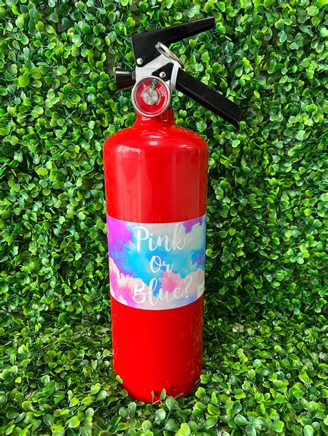 Gender Reveal Fire Extinguisher/ Color Blaster - Etsy