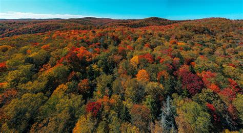 West Virginia experiencing best fall colors in 10 years