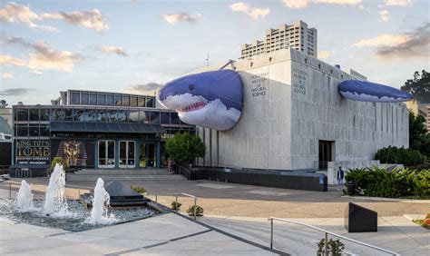 Houston Museum of Natural Science is now home to an inflatable shark