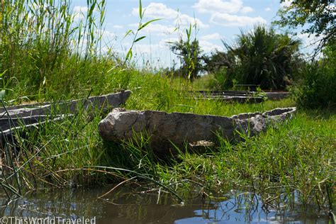 Adventures on the Okavango Delta: Mokoro Ride & Helicopter Flight ...