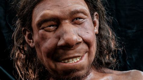 Lumpy tumor shown on facial reconstruction of Neanderthal who lived on ...