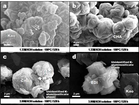 a illustrates an example of the dissolution of kaolinite, revealed by ...