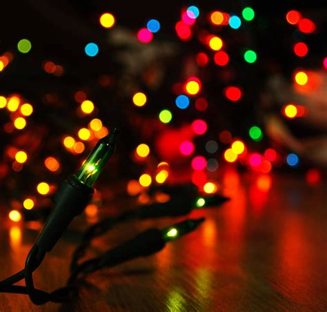 Download Magical Christmas Lights Shine Bright Wallpaper | Wallpapers.com