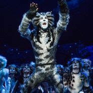 Munkustrap | 'Cats' Musical Wiki | Fandom