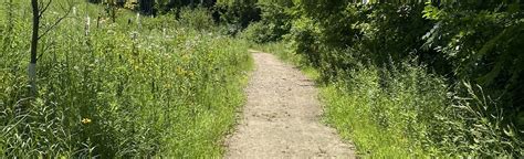 Brickyard Trail: 118 Reviews, Map - Minnesota | AllTrails