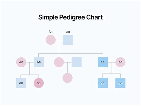 How To Draw A Pedigree Chart