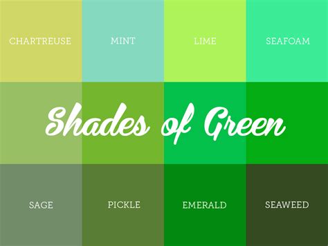 Understanding the Different Shades of Green