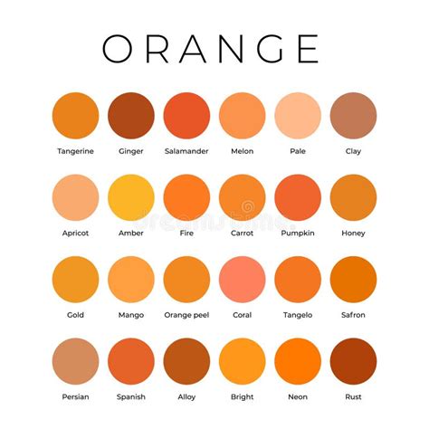 Orange Color Shades Swatches Palette with Names Stock Vector ...