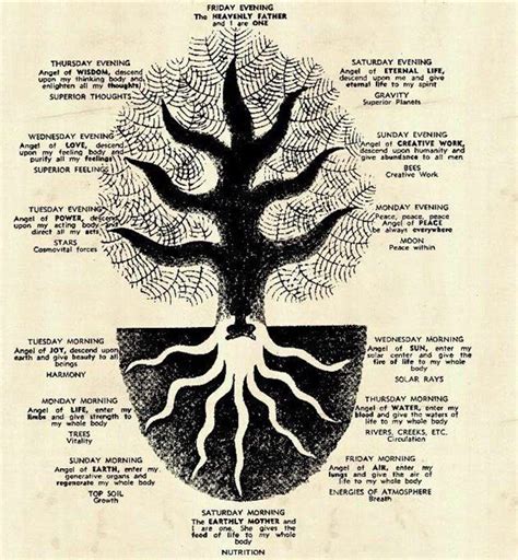 Who are the Essenes? – Society Wellness Church