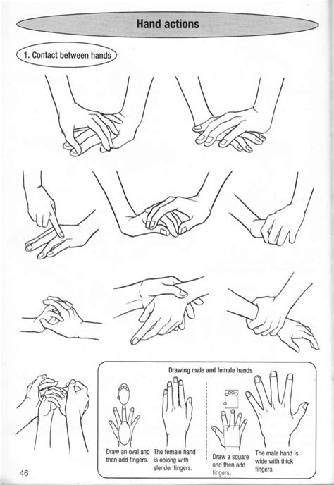 couple hand references | Hand drawing reference, How to draw hands ...