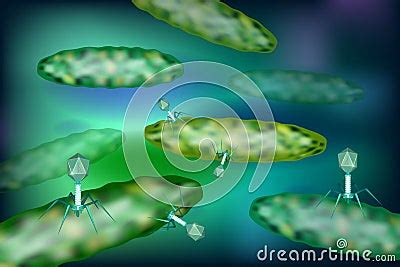 Phage Inserting Its DNA Into A Bacterium. Bacteriophage Infecting ...