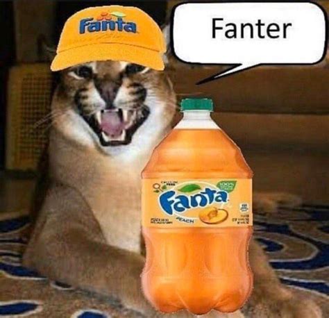 Fanter | Big Floppa | Know Your Meme