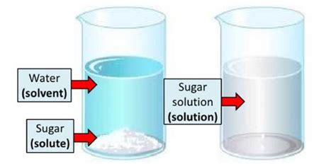 Soluble and Insoluble substances - Assessment