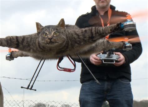 It All Started With a Dead Cat Drone - Now A Taxidermy Drone Company