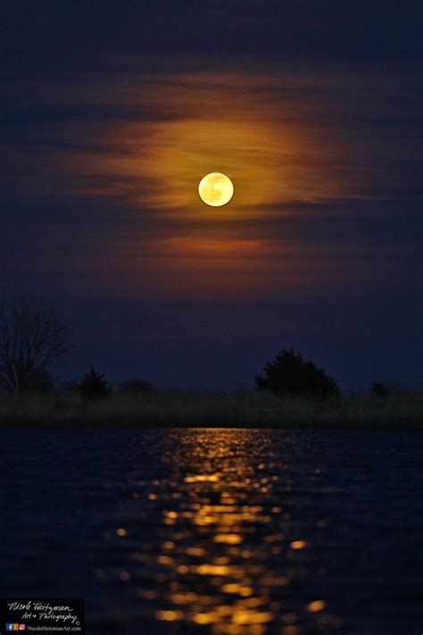 Full Moon Photography Reflection Photo Night moonlight Metal Print ...