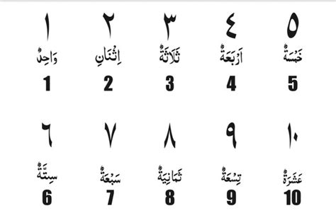 Bahasa Arab Angka 1 100 Lengkap Dengan Gambar Diedit Common App - IMAGESEE