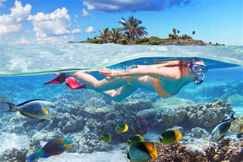 13 Popular Spots For Snorkeling In Bahamas In The Carribean