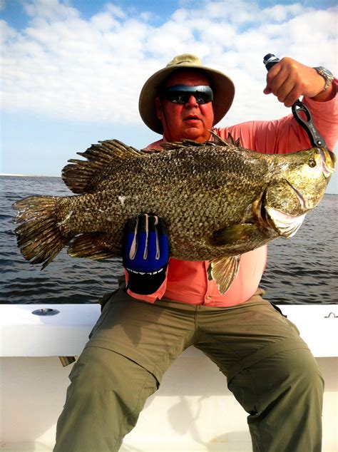 Tripletail Fishing: Tips and Tactics - SkyAboveUs