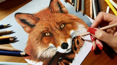 Realistic Fox Drawing at GetDrawings | Free download