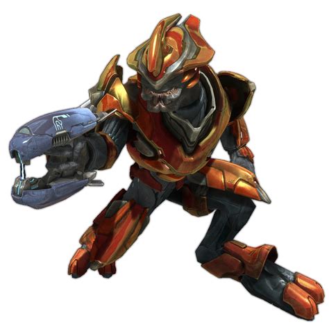 Sangheili Major | Halo Nation | FANDOM powered by Wikia