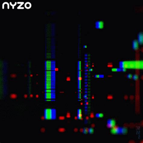 Nyzo Glitch Effect GIF - Nyzo Glitch Effect - Discover & Share GIFs