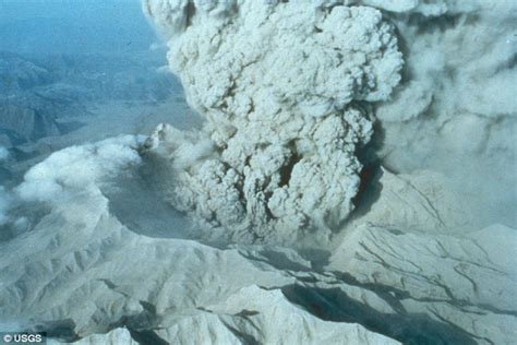 1991 volcanic eruption in the Philippines has masked the impact of ...