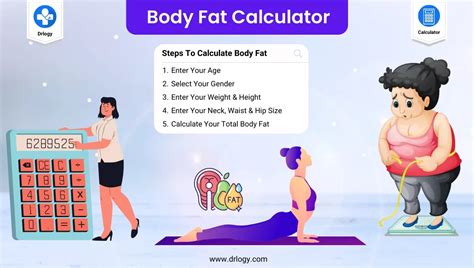 How do they calculate body fat percentage?