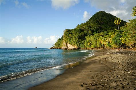 8 Most Beautiful Martinique Beaches | France Bucket List