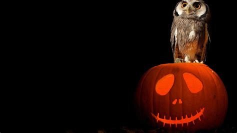 Halloween Owl Wallpapers - Wallpaperboat