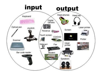 Examples of Input and Output Devices