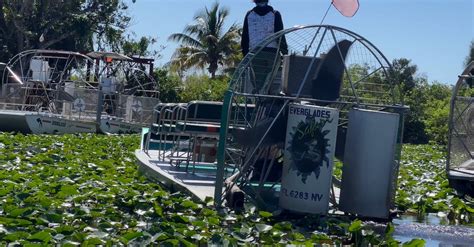 Airboat on Swamp in Florida Free Stock Video Footage, Royalty-Free 4K ...