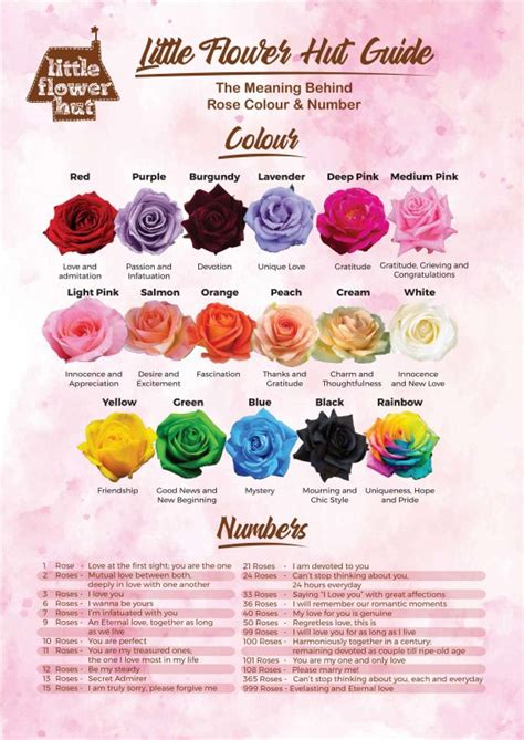 [UPDATED] Rose Colour Meaning Chart | - Little Flower Hut