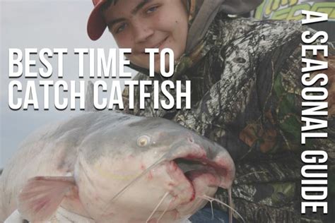 The Best Time To Catch Catfish: Seasonal Guide