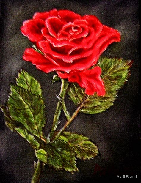 ""Red Rose" - Oil Painting" by Avril Brand | Redbubble