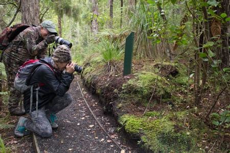 Hiking Trails around Stewart Island - Sails Ashore & Kowhai Lane Lodges ...