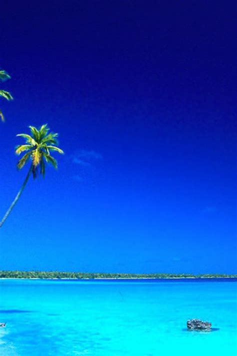 Palm tree island | Beach scenery, Beach wallpaper, Scenery