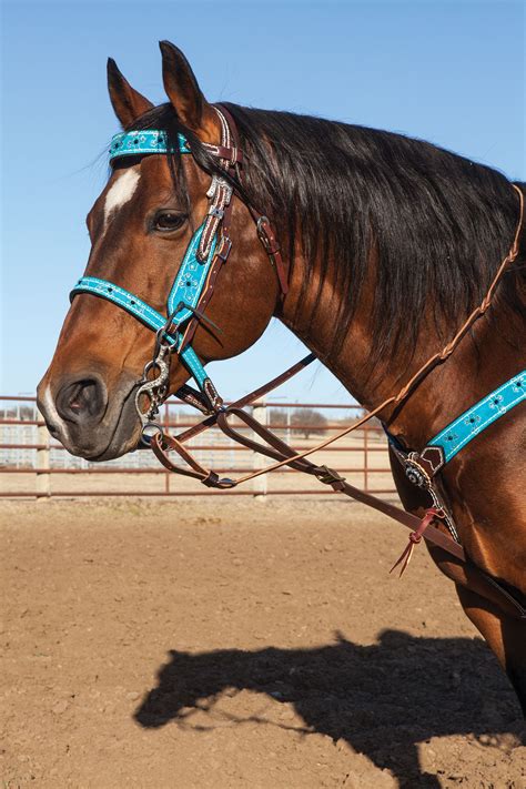 This Memphis Tack by Weaver is bright and pretty for the arena! # ...