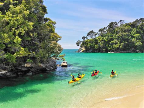 Kayak Abel Tasman: Beaches Bays Seals