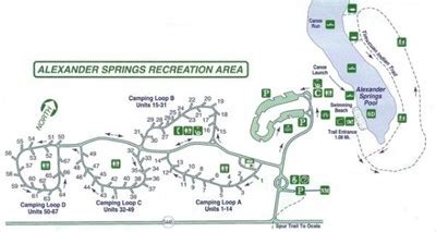 Ocala National Forest: Alexander Springs - The Great Florida Birding ...