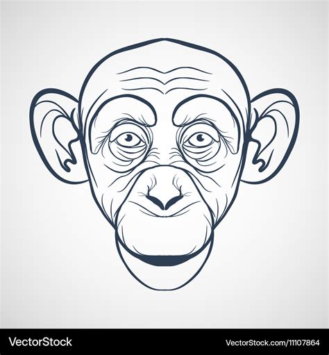 Monkeys Drawings