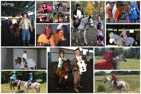 10+ Ideas for Halloween Horse and Rider Costumes