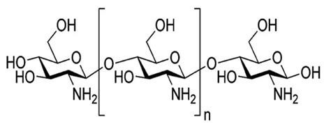 Chemical structure of chitosan. | Download Scientific Diagram