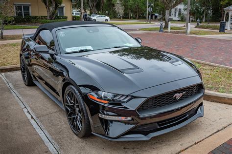 2019 Black Ford Mustang Premium GT 5.0 convertible X192 Photograph by ...