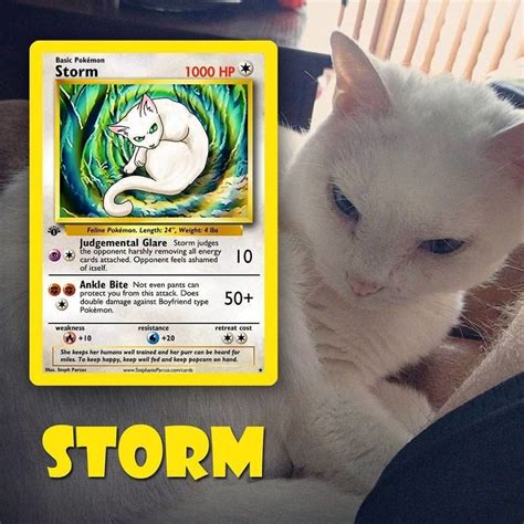 Artist Illustrates Pets Into Pokemon Cards And They Look Absolutely ...