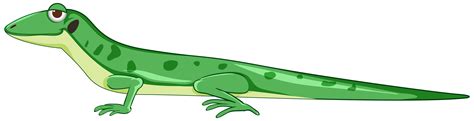 Cartoon lizard – Telegraph