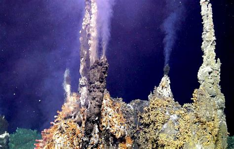 SETI to use deep-sea vents for practice hunting alien life | Astronomy.com