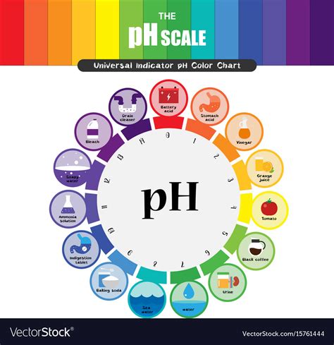 Ph scale universal indicator color chart Vector Image