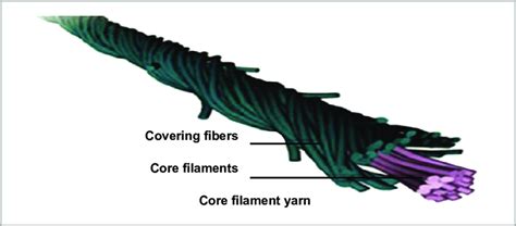 Typical core-spun yarn [3]. | Download Scientific Diagram