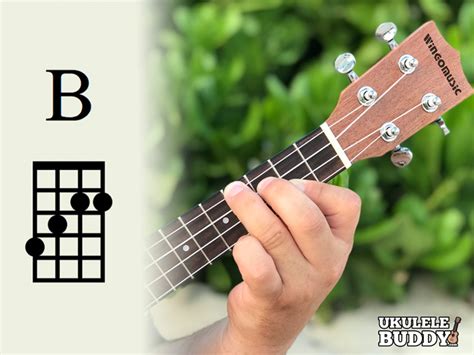 Ukulele Chords