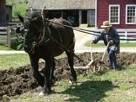 Fresh Tilled Soil: Using the 1830’s Horse-drawn Plow | Horses, Amish ...